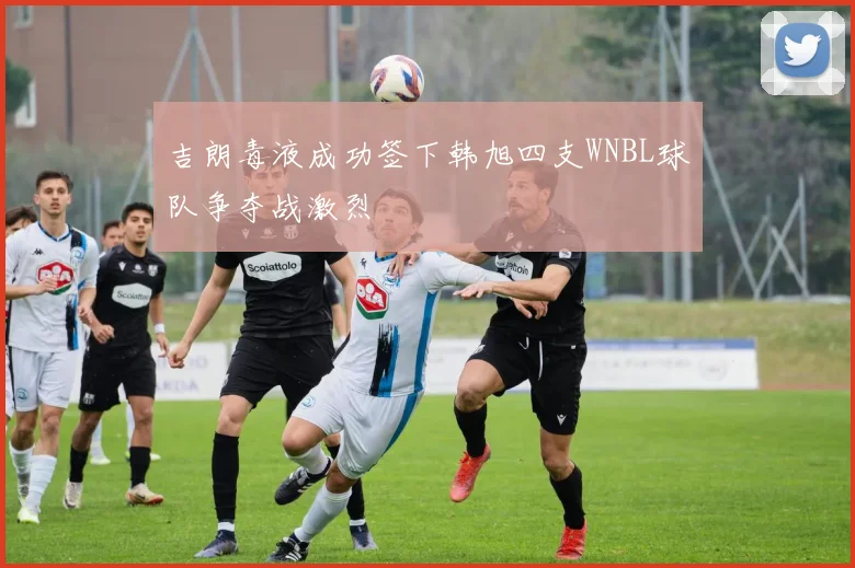 吉朗毒液成功签下韩旭四支WNBL球队争夺战激烈