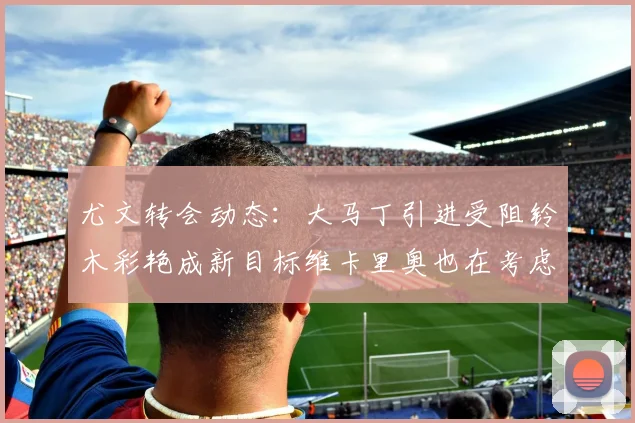 尤文转会动态：大马丁引进受阻铃木彩艳成新目标维卡里奥也在考虑中